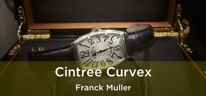  Cintree Curvex Franck Muller